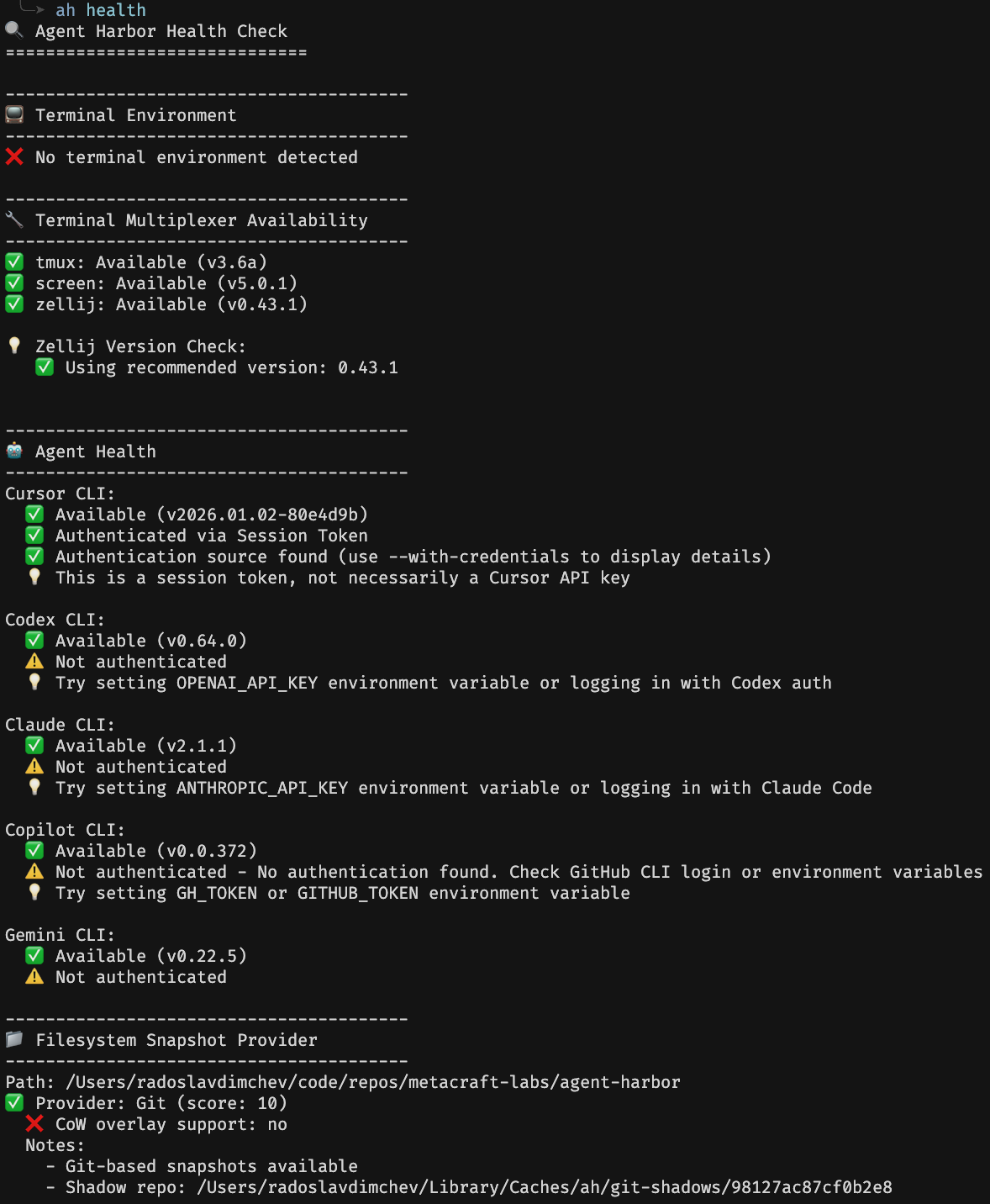 Output of ah health command